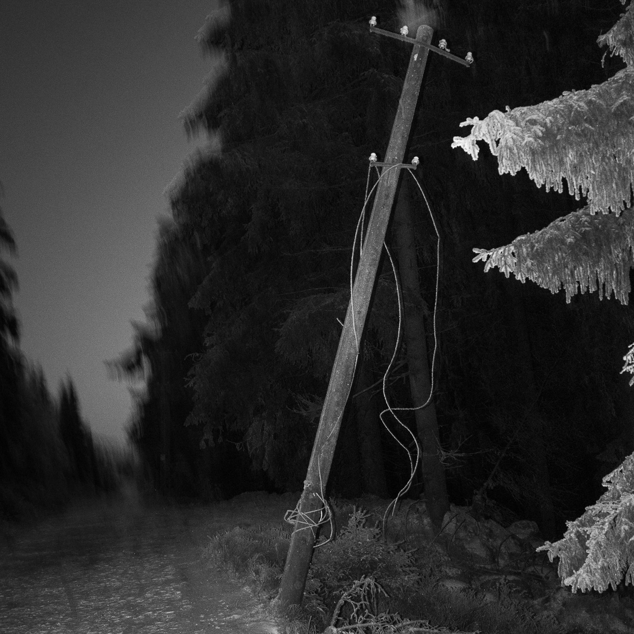 WINTER SOLSTICE